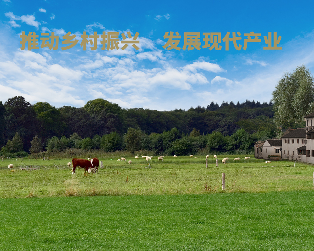 農(nóng)業(yè)產(chǎn)業(yè)